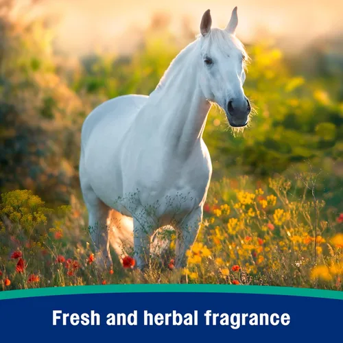 Miniatura 4 de Farnam Nature's Defense - Aerosol repelente de moscas botánico a base de agua para caballos, ideal para pieles sensibles, 32 onzas