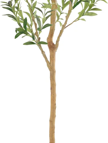 Miniatura 3 de Bellacat Árbol de olivo sintético de 6 pies, olivos artificiales para interiores con tronco de madera natural y hojas y frutas realistas. Olivo