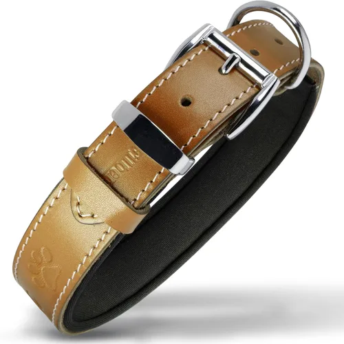 Miniatura 34 de Filbert Collar de cuero para perro, collar de cuero genuino para perros pequeños, estampado de patas en relieve con hebilla, grano completo curtido