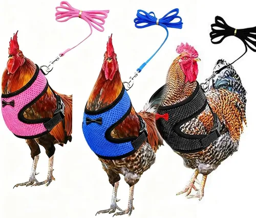 Miniatura 7 de Juego de arnés y correa para pollo, malla ajustable, transpirable, arnés de entrenamiento de pato, correas para mascotas, correas para ganso, Azul