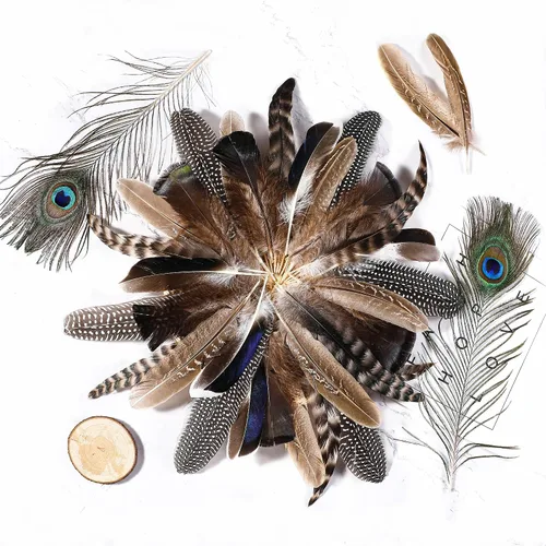 Miniatura 4 de Holmgren 24 piezas de plumas naturales al por mayor - 6 estilos surtidos de pavo real, faisán, pavo para manualidades, joyería DIY, sombreros