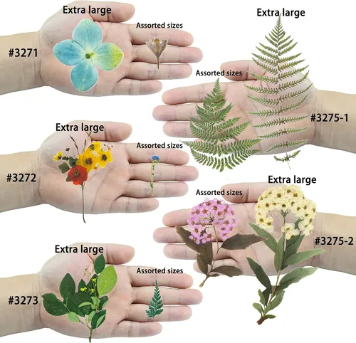Miniatura 7 de FUNSHOWCASE Calcomanías mixtas de resina para plantas de piña, hojas de flores, decoración de álbumes de recortes, paquete de 218