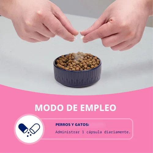 Miniatura 6 de Nutramax Proviable Probióticos para Perros y Gatos, Suplemento Diario para la Salud Digestiva con Múltiples Cepas de Bacterias, Probióticos