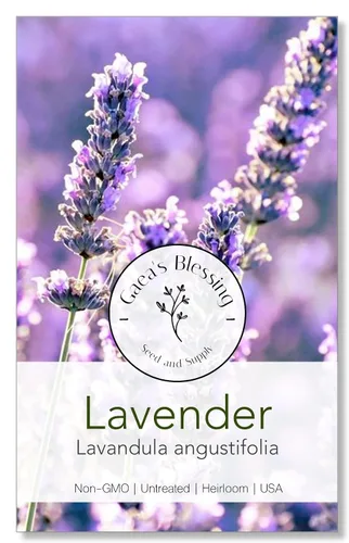 Gaea's Blessing Semillas – Semillas de lavanda inglesa – Semillas tradicionales sin OMG con instrucciones fáciles de seguir – Vera True Lavender
