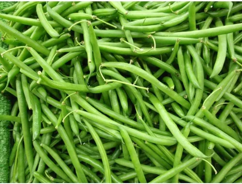 Frijol medio corredor voluntario (Green Been) - Una planta muy vigorosa y productiva!!! (25 - Semillas)