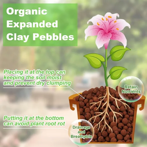 Miniatura 3 de Riare Guijarros de arcilla expandida orgánica de 2 libras, bolas de leca natural de 0.157 a 0.630 pulgadas, ligeras piedras de arcilla hidropónica