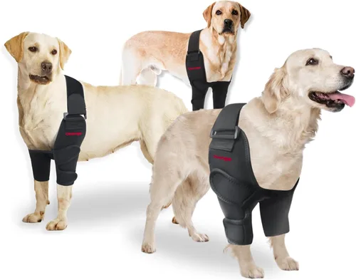 Protector de codo para perros para callos y artritis. Coderas Hygroma para perros y coderas de perro, soporte de pierna frontal. Soporte de hombro