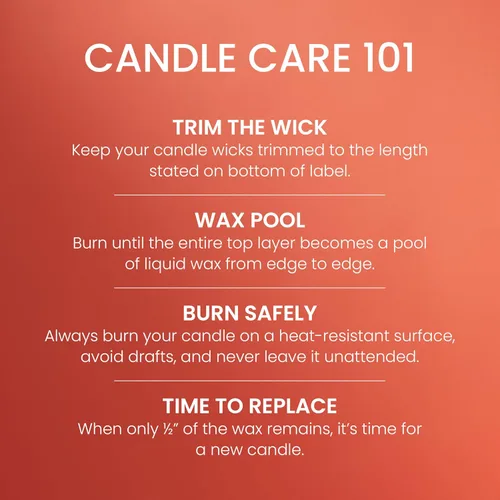 Miniatura 5 de Yankee Candle - Vela perfumada en tarro pequeño con tiempo de combustión de hasta 40 horas, mezcla premium de cera vegetal para una combustión