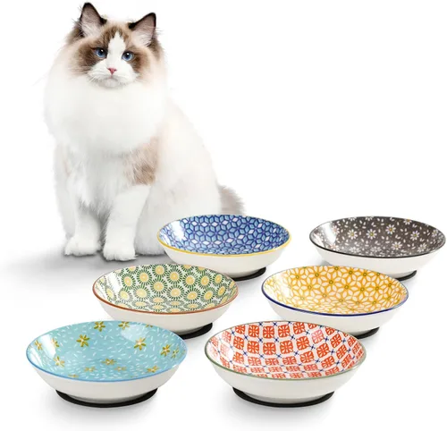 Cuencos de cerámica para gatos – Serie floral colorido juego de 6 cuencos para gatos – Cuencos de alimentación para gatos con alfombrilla