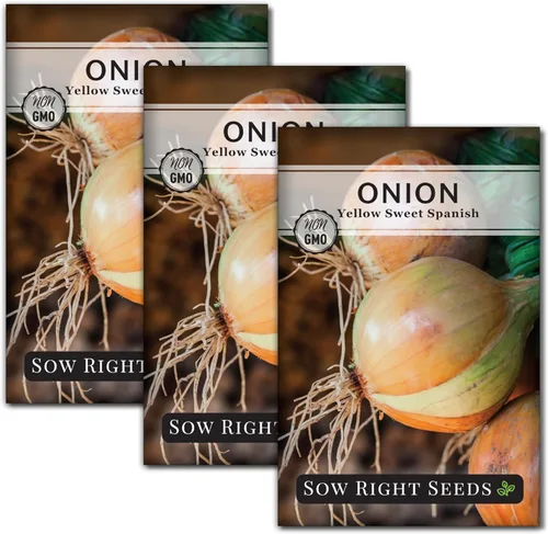 Sow Right Seeds - Semillas de cebolla dulce española amarilla para plantar - Paquete de reliquia sin OMG con instrucciones para plantar un huerto