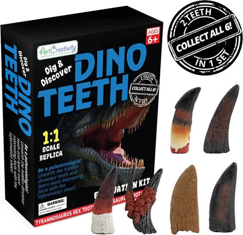 Miniatura 7 de ArtCreativity Dino Teeth Dig and Discover Kit de excavación para niños, incluye dientes fósiles de juguete T-rex y Tarbosaurus con 2 herramientas