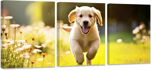 Miniatura 28 de ZXHYWYM Impresiones personalizadas con tus fotos, imágenes personalizadas de 3 piezas para retratos familiares, mascotas, imágenes personalizadas 3