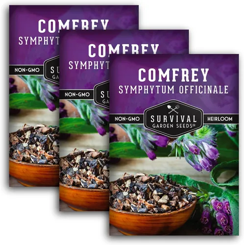 Semillas de consuelda para plantar, Symphytum Officinale Hierba medicinal perenne para té de abono y cuidado de la piel natural, raíz resbaladiza
