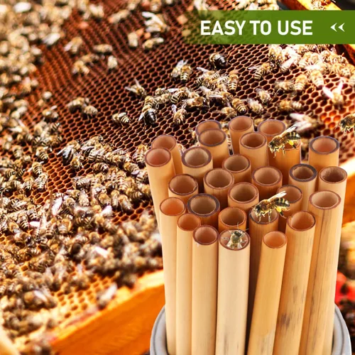 Miniatura 4 de COHEALI Mason Bee Tubes - Paquete de 50 tubos de anidación de varillas naturales de 7.87 pulgadas para casa de abejas, solitario de 0.276-0.354 in
