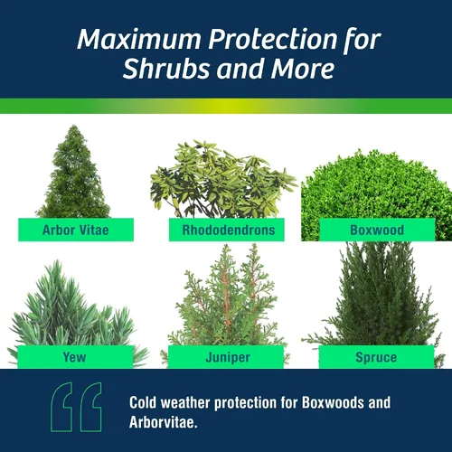 Miniatura 3 de Wilt-Pruf® Concentrado Protege contra daños en invierno, sequías y estrés Simplemente rocía y deja secar Bloquea la humedad con película