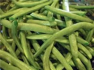 Semillas de frijol tierno de arbusto verde - 25 semillas por paquete - Delicious Beans-Country Creek LLC