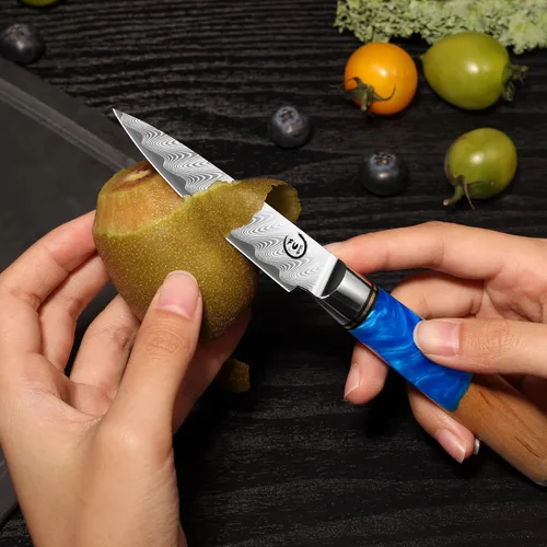 Miniatura 8 de Cuchillo de pelar de 3.5 pulgadas, cuchillo de pelar de damasco pequeño cuchillo de fruta ultra afilado Damasco VG10 Core acero con 66 capas