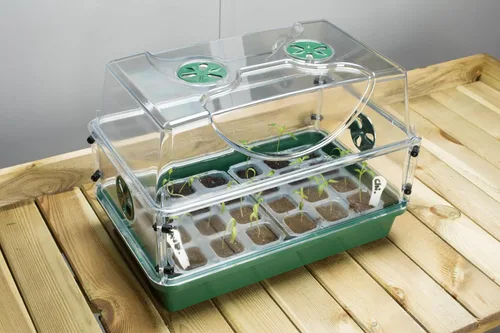 Miniatura 8 de EarlyGrow Propagador de cúpula grande con 2 extensores de altura, bandejas de plántulas y juego de clips de bloqueo, verde (97019)