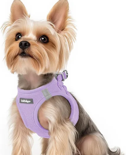 Miniatura 67 de rabbitgoo Arnés para perro pequeño, chaleco de malla suave para cachorros con hebilla de seguridad, arnés reflectante transpirable para mascotas