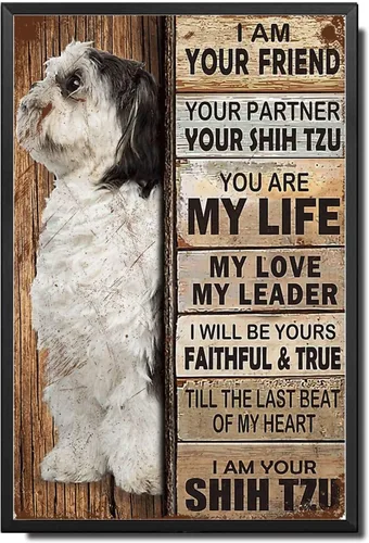 Miniatura 36 de Letrero de Metal Letrero de Hojalata Arte de Pared Vintage I Am Your Friend Regalo para Amantes de Schnauzer Arte de Pared Vintage Impresiones