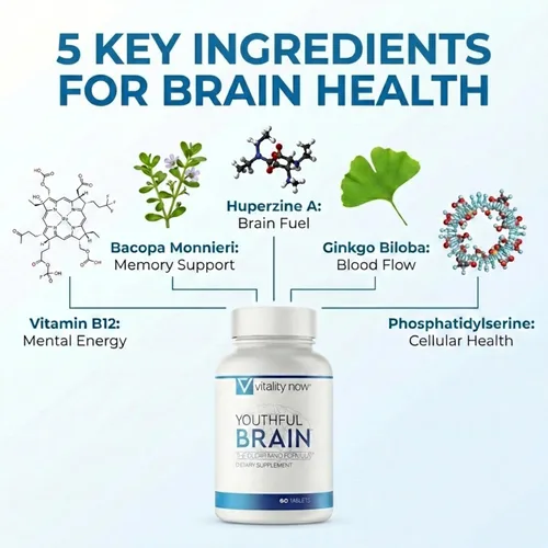 Miniatura 3 de Youthful Brain Suplemento de apoyo para la salud de la memoria y el cerebro con Bacopa Monnieri, Ginkgo Biloba, B12 - Tabletas fáciles de tragar