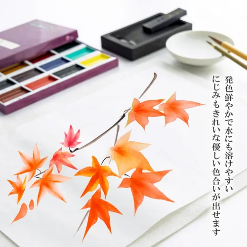Miniatura 4 de Sumikundo 15504 - Pintura (12 colores)