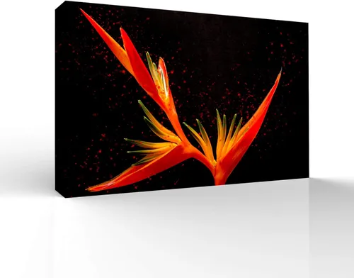 Miniatura 44 de wall26 Canvas Wall Art Beautiful Flowers Pictures Home Wall Decorations for Bedroom Living Room Paintings Canvas Prints Framed - 32x48 inches
