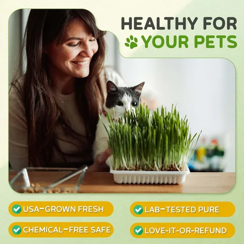Miniatura 5 de Todd's Seeds – Hierba para gatos de interior o exterior, 1 libra de hierba de trigo – Premium, 100% libre de químicos (mejor que orgánico) sin GMO