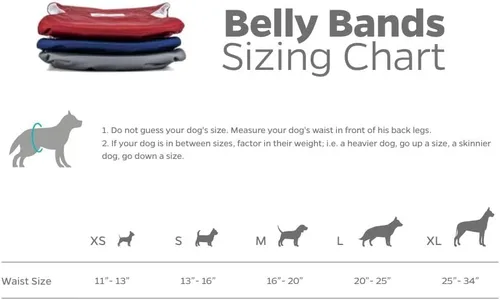 Miniatura 6 de Pet Parents® Bandas para el vientre lavables para perros machos (paquete de 3) + Extendrs® de pañales duraderos para perros machos, pañales prémium