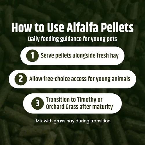 Miniatura 7 de High Desert Delight - Pellets de alfalfa, ricos en proteínas, alimento para animales pequeños para conejos jóvenes, cobayas y mascotas pequeñas