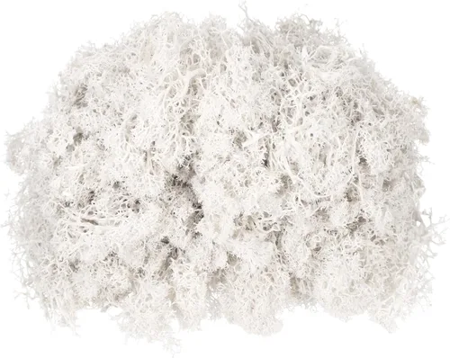 Miniatura 20 de MECCANIXITY Musgo de reno preservado de 4.6 onzas, musgo artificial decorativo gris para plantas en maceta, manualidades de interiores, centros