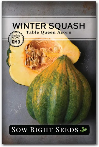 Sow Right Seeds - Semillas de calabaza Queen de bellota para plantar - Paquete de reliquia sin OMG con instrucciones para plantar un huerto en el