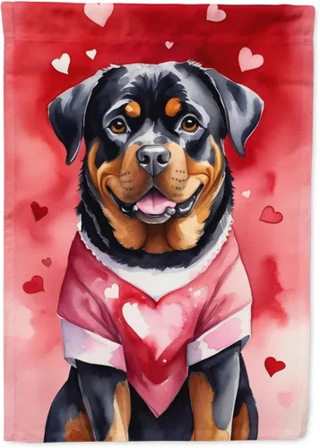Miniatura 10 de Caroline's Treasures DAC5292CHF - Bandera de Border Collie My Valentine House para porche, grande, con manga para porche, para colgar en la pared