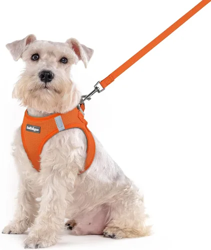 Miniatura 16 de rabbitgoo Juego de arnés para perro de tamaño pequeño y correa, chaleco ligero suave para cachorro, arnés de malla transpirable para mascotas