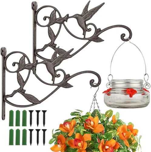 Miniatura 10 de Soportes para colgar plantas en la pared, de hierro fundido, de metal, para plantas forjadas, ganchos decorativos para colibrí, para interiores
