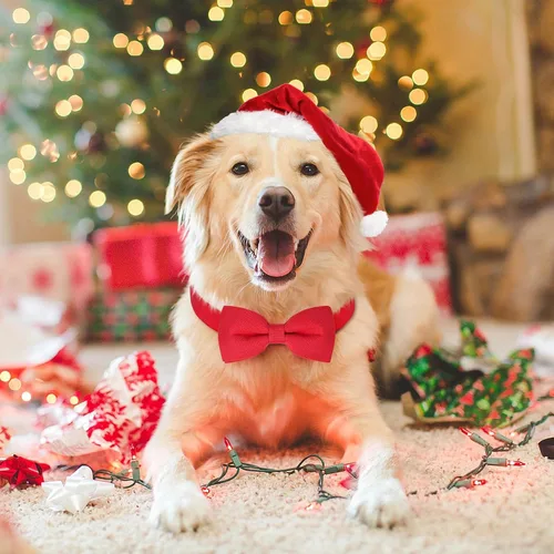 Miniatura 2 de Collar de Navidad Malier con Pajarita - Collares Clásicos Rojos de Vacaciones para Niñas y Niños, Ajustable para Perros y Gatos Pequeños a Grandes