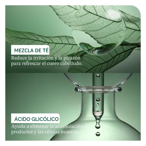 Miniatura 4 de Biolage Scalp Sync Anti-Dandruff Shampoo & Universal Conditioner Set - Targets Dandruff, Controls The Appearance of Flakes & Relieves Scalp