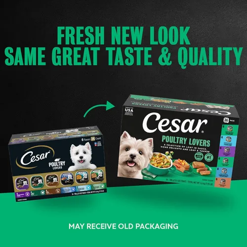 Miniatura 2 de Cesar Classic Loaf in Sauce - Alimento húmedo para perros adultos, para amantes de las aves de corral, paquete variado con pollo real, pavo o pato