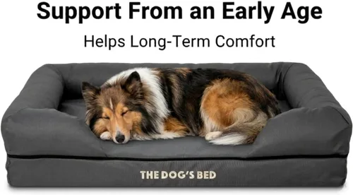 Miniatura 5 de The Dog's Bed - Cama ortopédica de espuma viscoelástica para perros medianos, colchón de soporte de alta densidad, entrada frontal baja, funda negro
