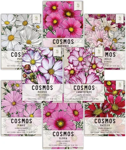 Miniatura 12 de Seed Needs - Semillas de Capuchina para Plantar Flores Comestibles - Juego de Colección de Mezcla Joya y Capuchinas de Doble Brillo para Atraer