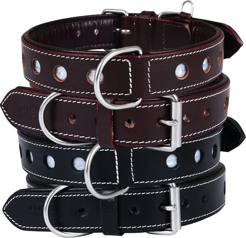 Miniatura 4 de Collar de Perro de Cuero Genuino Grano Completo, Resistente Cómodo, Acolchado, Fuerte Ideal para Cachorros, Razas Pequeñas, Medianas