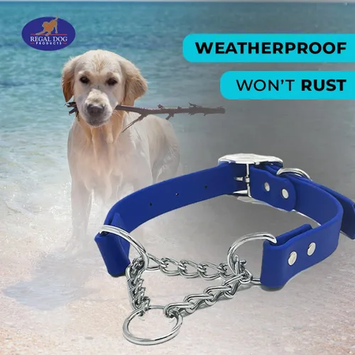Miniatura 6 de Regal Dog Products Collar Martingale para perros – Collar impermeable de bioano para perros pequeños, medianos y grandes – Cadena resistente