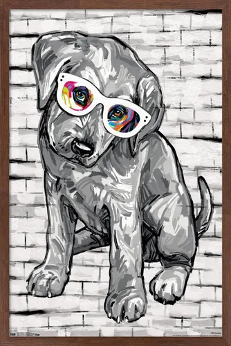 Miniatura 10 de Trends International PD Moreno - Póster de pared con gafas para perro, 14.725 x 22.375 pulgadas, versión enmarcada de madera de granero