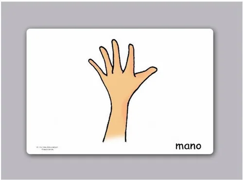 Miniatura 4 de Tarjetas de vocabulario -Partes del Cuerpo - Tarjetas de carrocería en español para niños pequeños de 2 a 4 años, niños y adultos