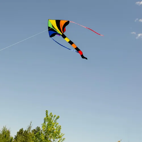 Miniatura 2 de In the Breeze 2903 Rainbow Sparkler 46 pulgadas Fly-Hi Delta Kite-Single Line