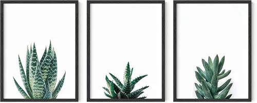 HAUS AND HUES Arte de pared de plantas, juego de 3 impresiones suculentas, carteles botánicos minimalistas, imágenes de hojas verdes para dormitorio