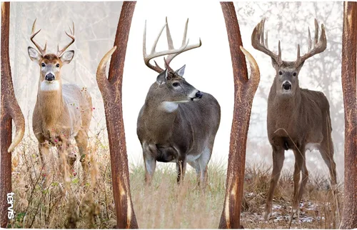 Miniatura 2 de Tervis Deer Trio - Vaso aislado de doble pared hecho en Estados Unidos mantiene las bebidas frías y calientes, 16 onzas, clásico Transparente