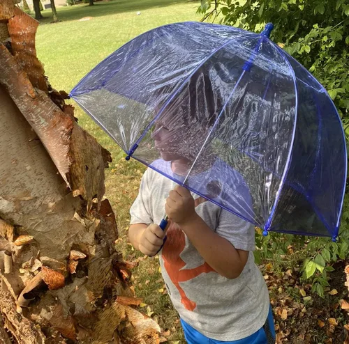 Miniatura 5 de Totes- Paraguas de burbujas transparente para niños con mango de fácil agarre), 2236-BLU