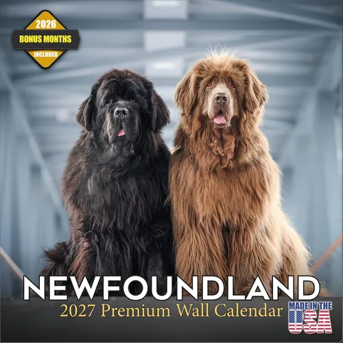 Miniatura 155 de Calendario 2025 2026 de cachorros Cocker Spaniel - Calendario mensual de pared de raza de perro - 12" x 24" abierto - Papel grueso sin sangrado