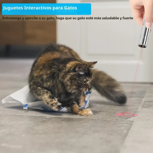 Miniatura 7 de Waputne Juguete para gatos de interior, juguetes recargables por USB con 7 patrones ajustables, juguetes interactivos de persecución para gatos